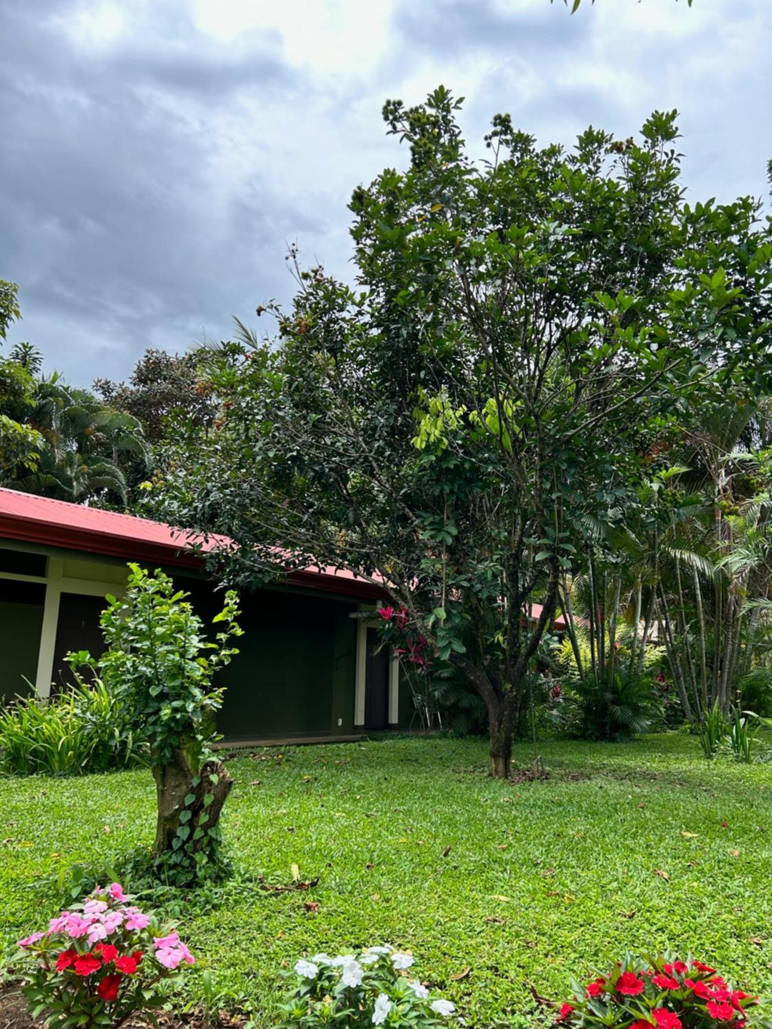B&B Garden Гресия Экстерьер фото