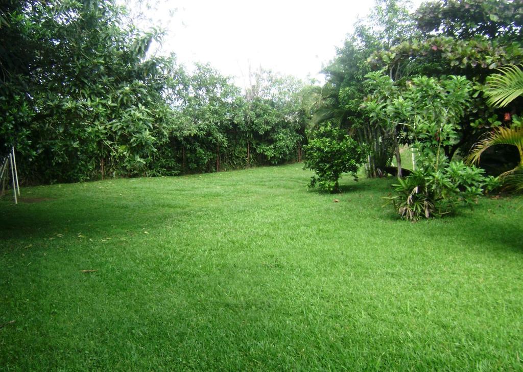 B&B Garden Гресия Номер фото